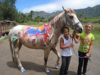 Horse Camps Hawaii